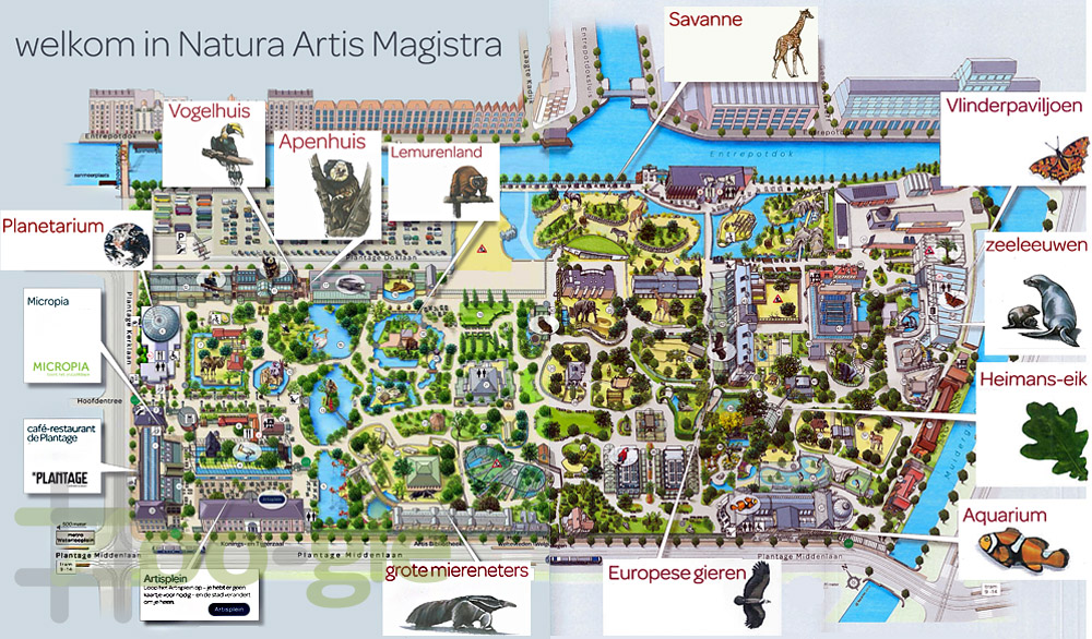 Een foto van de plattegrond van Artis